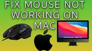 How to fix Mouse not working on Mac - 3 most common reasons why the mouse is not working (2023)