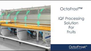 OctoFrost™ IQF Processing for Fruits and Tropical Fruits | IQF Freezing Mango | 3D Visualization