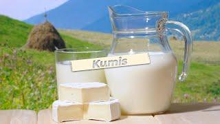 Kumis | The Traditional Drink of Turks