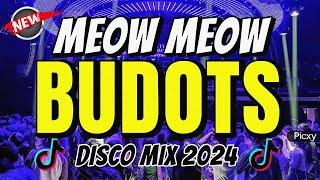 MEOW MEOW - TIKTOK BUDOTS REMIX - DJ JOHNREY DISCO REMIX