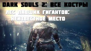 Dark souls 2: Лес Павших Гигантов - Неизвестное Место