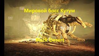 Black desert мировой босс Кутум