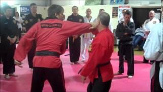 Fleetwood Martial Arts Show part 2