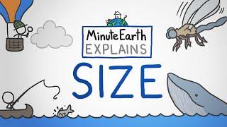 MinuteEarth Explains: Size