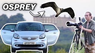 Rutland's OSPREYS | 3 Days SOLO Wildlife Photography CAR CAMPING Adventure