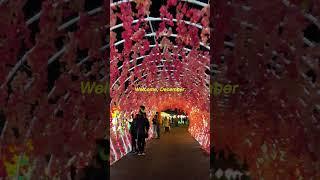 Imaginarium360 Sacramento, CA #christmas #imaginarium #christmaslights #festival #sacramento