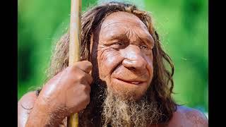 Researchers find evidence of Neanderthal stone tools being held together by multi component adhesive