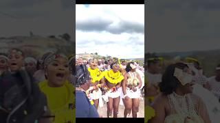 Zulu Culture #shuduza #shorts #dance #africantribalmusic #traditionaldance #zulu