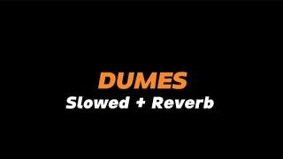 DUMES  -  Slowed + Reverb (Full Lirik)