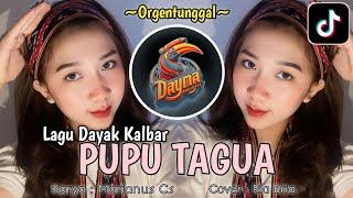 LAGU DAYAK KALBAR || PUPU TAGUA || Karya : Marianus Cs__Cover : Ria Bria____By Dayma Project