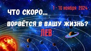 ЛЕВЧТО СКОРО ВОРВЁТСЯ В ВАШУ ЖИЗНЬ..? 10 ДНЕЙ1 - 10 НОЯБРЯ 2024Tarò Ispirazione