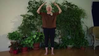 Prepare for Meditation~Clearing the Energy Field