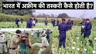 अफ़ीम की खेती farming India Opium Bird