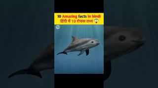 World's Rarest Mammal || shorts video ||
