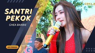 SANTRI PEKOK - GHEA BARBIE "NEW PRIMAEGA" || LIVE.DUSUN PONCOL-KEDUNGBOKOR,KEC.LARANGAN-BREBES