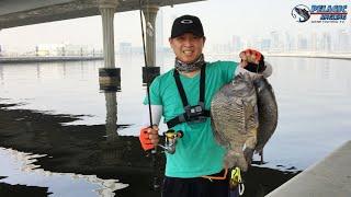 Jigging Technique How to Catch Black Sea Bream Using Ultralight Tackle