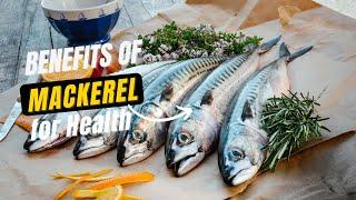 5 BENEFITS OF MACKEREL FOR HEALTH