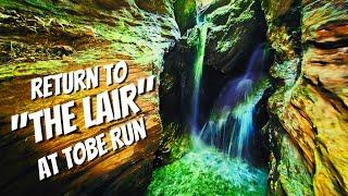 We Found HIDDEN CAVES Behind the Waterfalls in The Lair at Tobe Run!!!