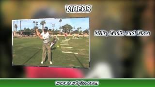 Wayne DeFrancesco Online Golf Instruction