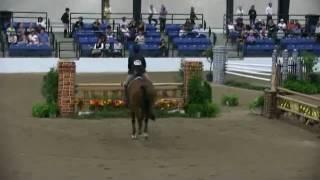Video of COUP DE COEUR ridden by CLARE SARGENT from ShowNet!