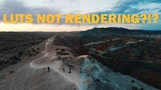 Premiere Pro Tutorial: How To Fix Custom LUTS Not Rendering Out In Adobe Media Encoder