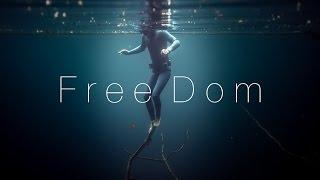 FreeDom [Surfholidays, серфинг]