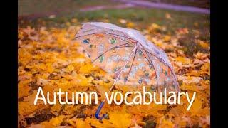 Autumn vocabulary for children. Лексика по теме "Осень"на английском языке детям #autumn