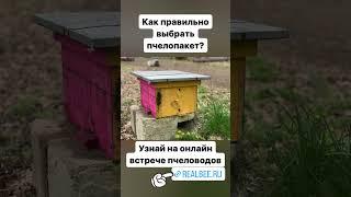 Онлайн встреча пчеловодов, прими участие - realbee.ru/sezon #обучениепчеловодству #bee #honeybee