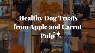 Healthy Dog Treats from Apple and Carrot Pulp