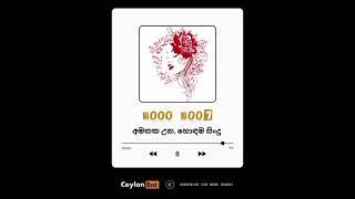 Adaretai Occham Kare (ආදරේටයි ඔච්චම් කරේ) (Hurt You - Sri Lankan Version) | 3EC Crew