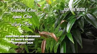 Ambient One opus One (Lady Fern)