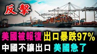 美國被報復 出口暴跌97%  ! 中國不讓出口 美國急了 !  / 新潮民 @SCM1.0