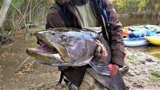 Great fishing in Siberia. Trophy TAIMEN