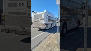 Santa Clara VTA #4135 on Line 59 at Forest & Monroe