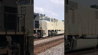 Norfolk Southern hauls Casper the Friendly Ghost elephant style!