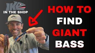 How to Find GIANT BASS (Guide)