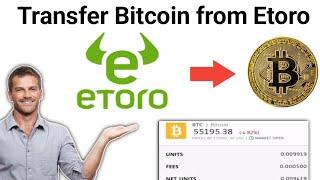 How To Transfer Bitcoin from Etoro to Another Wallet (2024)