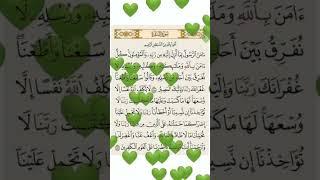 AMNA RASOOL.                                 #shorts #trend #viral #quran #surah