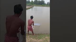 net best fishing man #villagelife #handfish #video