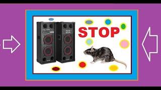 Deafening Frequency which completely drives RATS away from your home