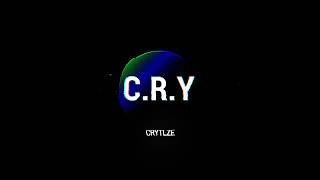 NEW INTRO CRYTLZE 2024