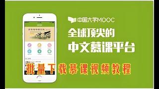 从零教你批量下载中国大学MOOC慕课的视频教程【Python爬虫】