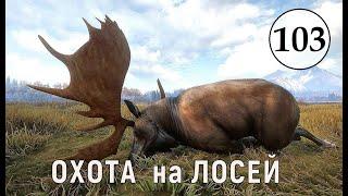 TheHunter Call of the Wild - ОХОТА на ЛОСЕЙ - Много Крупных ЛОСЕЙ # 103