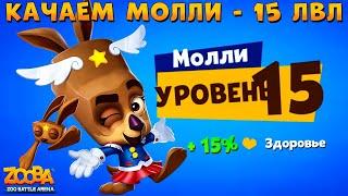 КАЧАЕМ КЕНГУРУ МОЛЛИ НА 15 УРОВЕНЬ В ИГРЕ ZOOBA