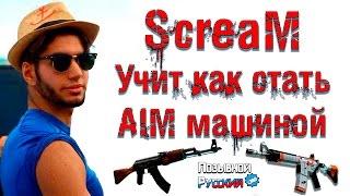 ScreaM учит как стать AIM машиной