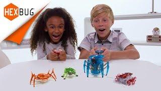 HEXBUG - Micro Robotic Creatures