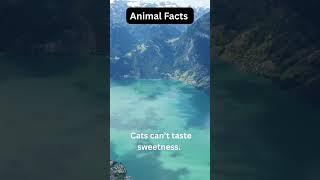  Drop a "" if you just learned something new!  Follow for more weird and wild animal facts!