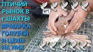 Птичий рынок в г.Шахты. Ярмарка голубей и цены на них. Pigeon Fair. Bird Market. الحمام. 鸽子.