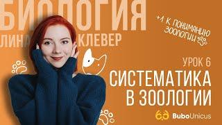 Систематика в зоологии | БИОЛОГИЯ ЕГЭ | Лина Клевер