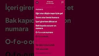 Aysu 1l0 numara